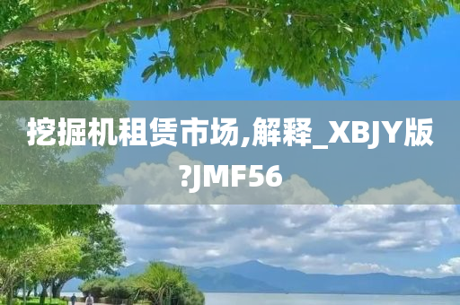 挖掘机租赁市场,解释_XBJY版?JMF56