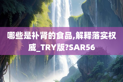 哪些是补肾的食品,解释落实权威_TRY版?SAR56