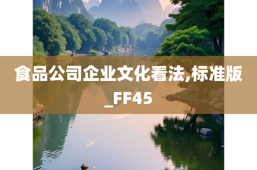 食品公司企业文化看法,标准版_FF45