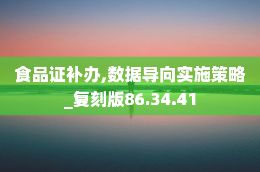 食品证补办,数据导向实施策略_复刻版86.34.41