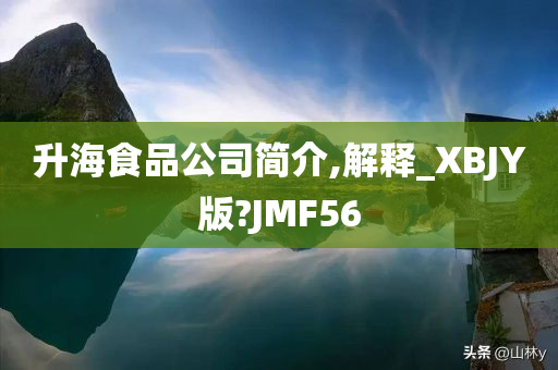 升海食品公司简介,解释_XBJY版?JMF56