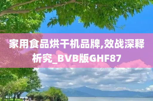 家用食品烘干机品牌,效战深释析究_BVB版GHF87