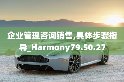 企业管理咨询销售,具体步骤指导_Harmony79.50.27