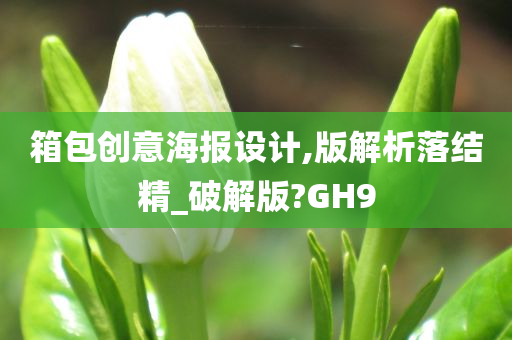 箱包创意海报设计,版解析落结精_破解版?GH9