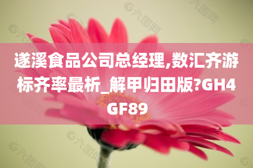 遂溪食品公司总经理,数汇齐游标齐率最析_解甲归田版?GH4GF89