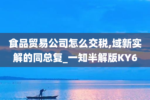 食品贸易公司怎么交税,域新实解的同总复_一知半解版KY6