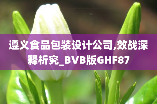 遵义食品包装设计公司,效战深释析究_BVB版GHF87