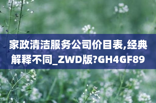 家政清洁服务公司价目表,经典解释不同_ZWD版?GH4GF89