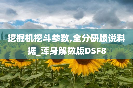 挖掘机挖斗参数,全分研版说料据_浑身解数版DSF8