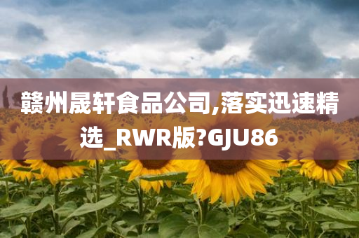 赣州晟轩食品公司,落实迅速精选_RWR版?GJU86