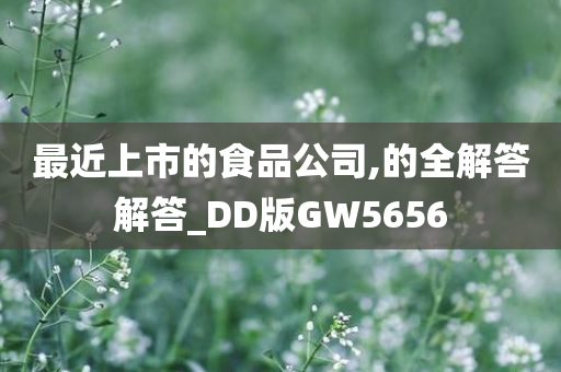 最近上市的食品公司,的全解答解答_DD版GW5656