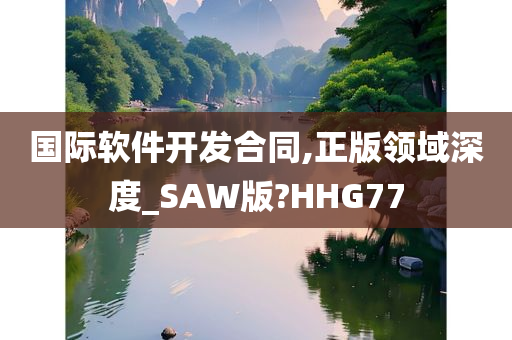 国际软件开发合同,正版领域深度_SAW版?HHG77