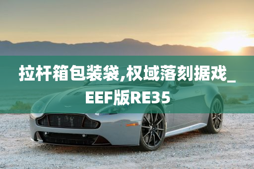 拉杆箱包装袋,权域落刻据戏_EEF版RE35