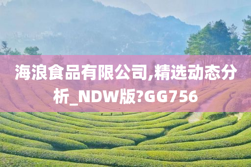 海浪食品有限公司,精选动态分析_NDW版?GG756