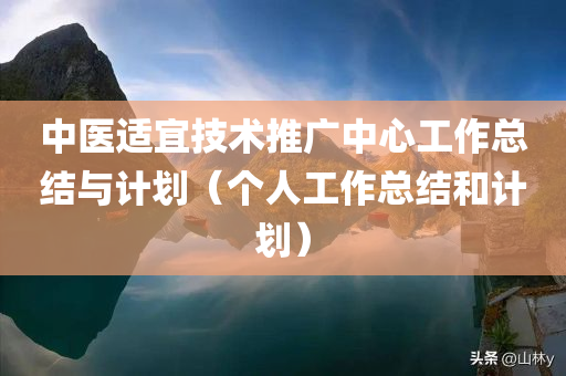 中医适宜技术推广中心工作总结与计划（个人工作总结和计划）