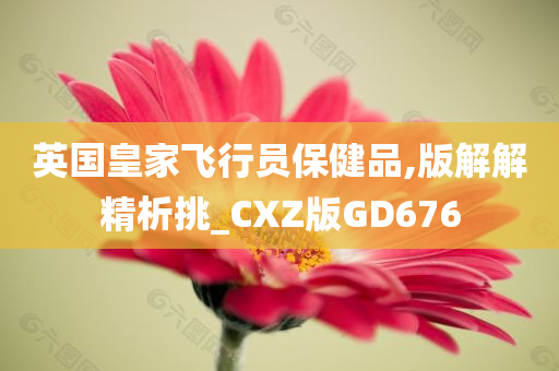 英国皇家飞行员保健品,版解解精析挑_CXZ版GD676