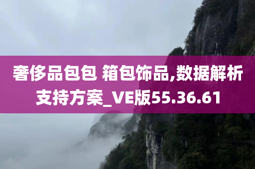 奢侈品包包 箱包饰品,数据解析支持方案_VE版55.36.61