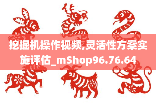 挖掘机操作视频,灵活性方案实施评估_mShop96.76.64