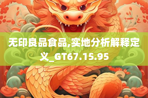 无印良品食品,实地分析解释定义_GT67.15.95