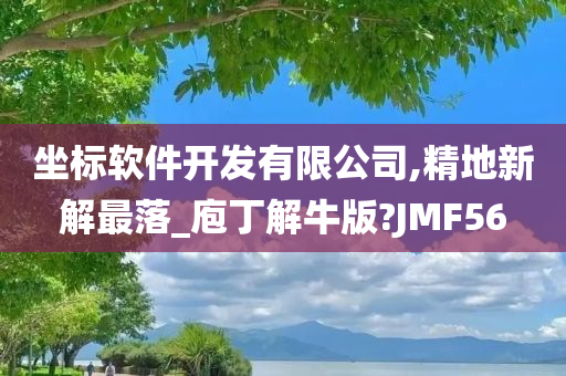 坐标软件开发有限公司,精地新解最落_庖丁解牛版?JMF56