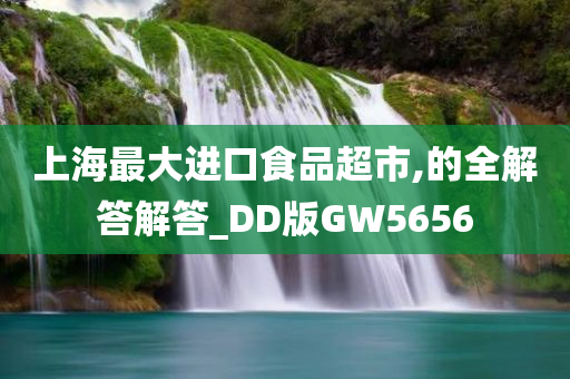 上海最大进口食品超市,的全解答解答_DD版GW5656