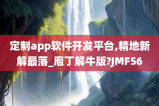 定制app软件开发平台,精地新解最落_庖丁解牛版?JMF56