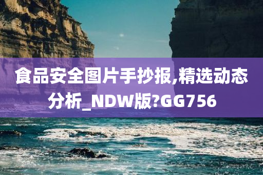 食品安全图片手抄报,精选动态分析_NDW版?GG756