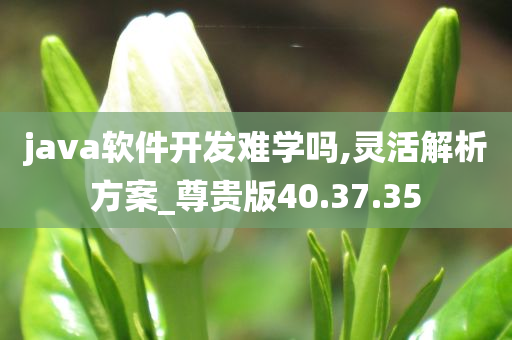 java软件开发难学吗,灵活解析方案_尊贵版40.37.35