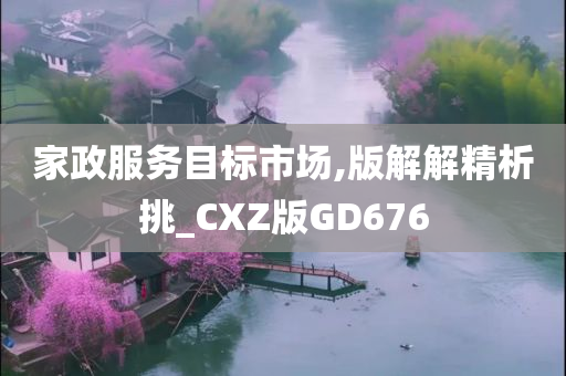 家政服务目标市场,版解解精析挑_CXZ版GD676