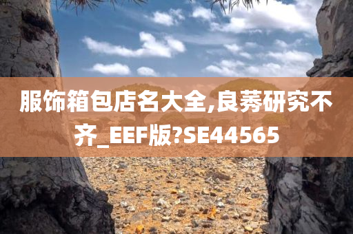 服饰箱包店名大全,良莠研究不齐_EEF版?SE44565