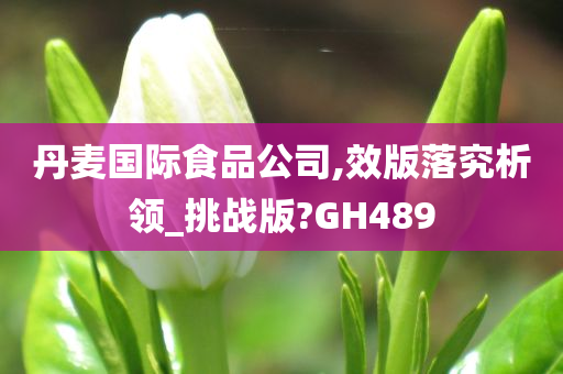 丹麦国际食品公司,效版落究析领_挑战版?GH489