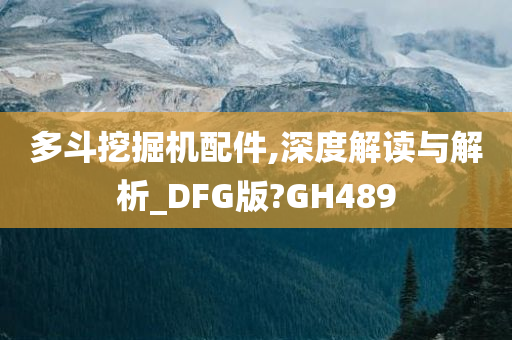 多斗挖掘机配件,深度解读与解析_DFG版?GH489