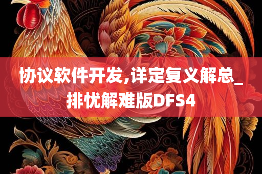 协议软件开发,详定复义解总_排忧解难版DFS4