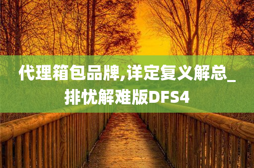 代理箱包品牌,详定复义解总_排忧解难版DFS4