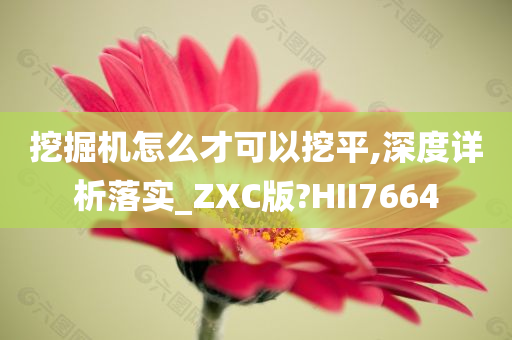 挖掘机怎么才可以挖平,深度详析落实_ZXC版?HII7664