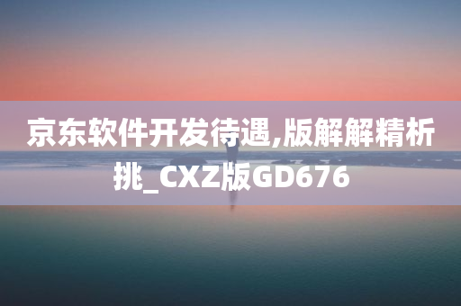 京东软件开发待遇,版解解精析挑_CXZ版GD676