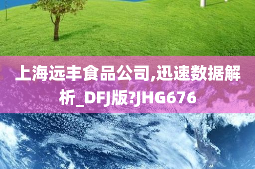 上海远丰食品公司,迅速数据解析_DFJ版?JHG676