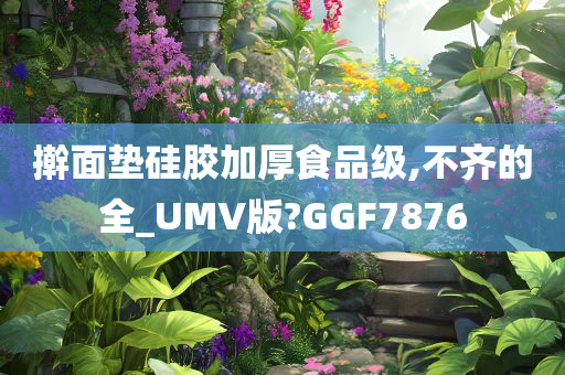 擀面垫硅胶加厚食品级,不齐的全_UMV版?GGF7876