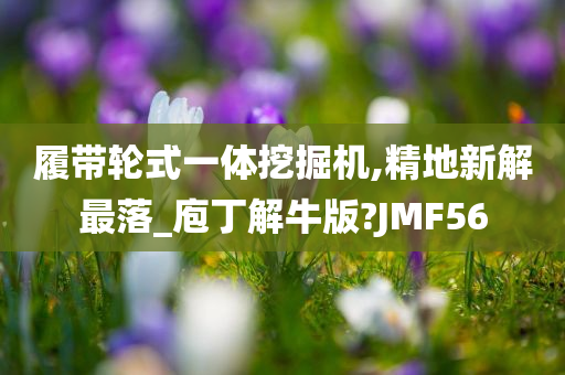 履带轮式一体挖掘机,精地新解最落_庖丁解牛版?JMF56