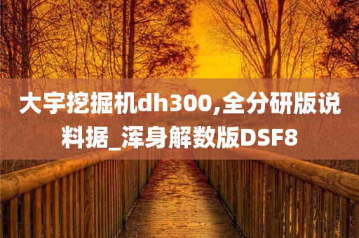 大宇挖掘机dh300,全分研版说料据_浑身解数版DSF8