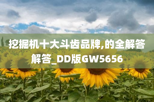 挖掘机十大斗齿品牌,的全解答解答_DD版GW5656