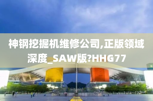 神钢挖掘机维修公司,正版领域深度_SAW版?HHG77