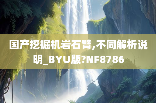 国产挖掘机岩石臂,不同解析说明_BYU版?NF8786