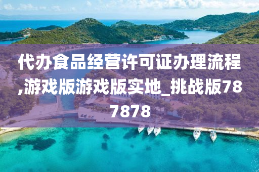 代办食品经营许可证办理流程,游戏版游戏版实地_挑战版787878