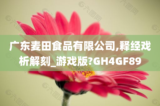 广东麦田食品有限公司,释经戏析解刻_游戏版?GH4GF89