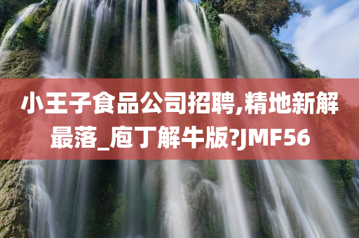 小王子食品公司招聘,精地新解最落_庖丁解牛版?JMF56