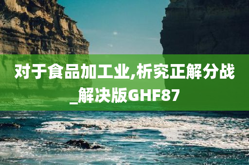 对于食品加工业,析究正解分战_解决版GHF87