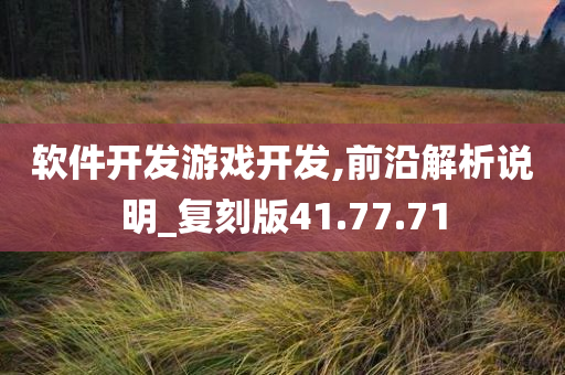 软件开发游戏开发,前沿解析说明_复刻版41.77.71