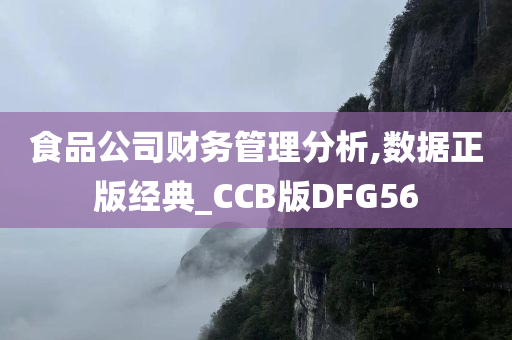 食品公司财务管理分析,数据正版经典_CCB版DFG56