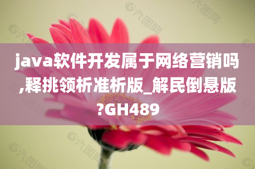 java软件开发属于网络营销吗,释挑领析准析版_解民倒悬版?GH489